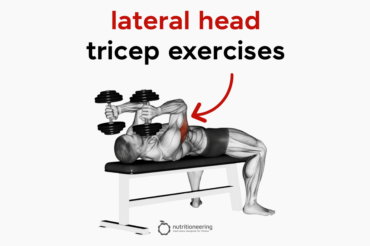 short head triceps exercises