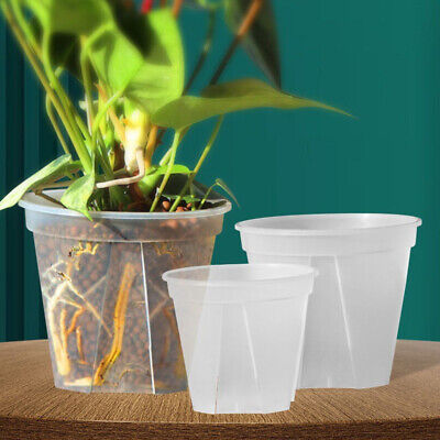 clear plastic flower pots