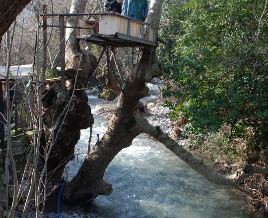 nazar köy nasıl gidilir