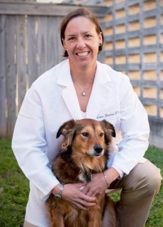 veterinary ophthalmologist austin tx