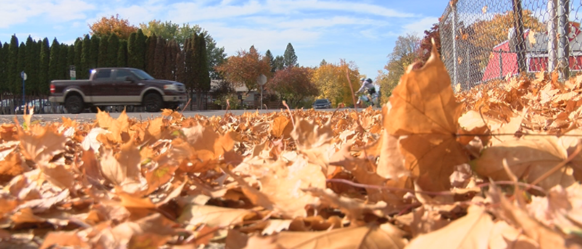 leaf collection missoula