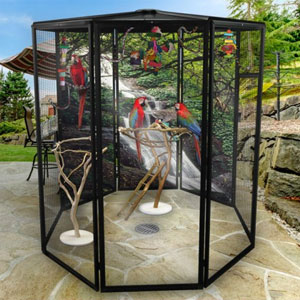 outdoor parrot cage