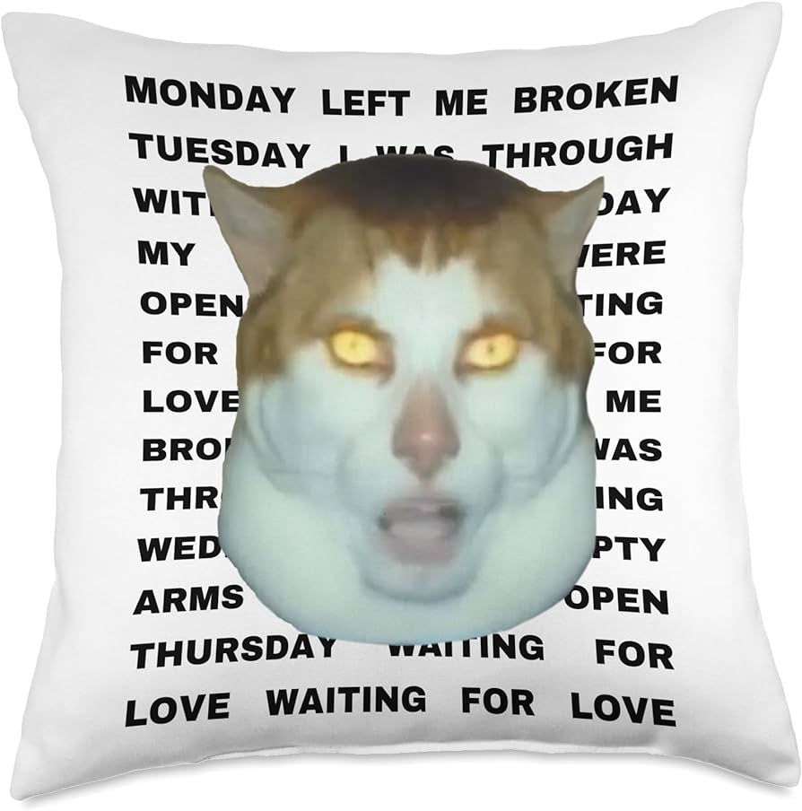 monday left me broken cat