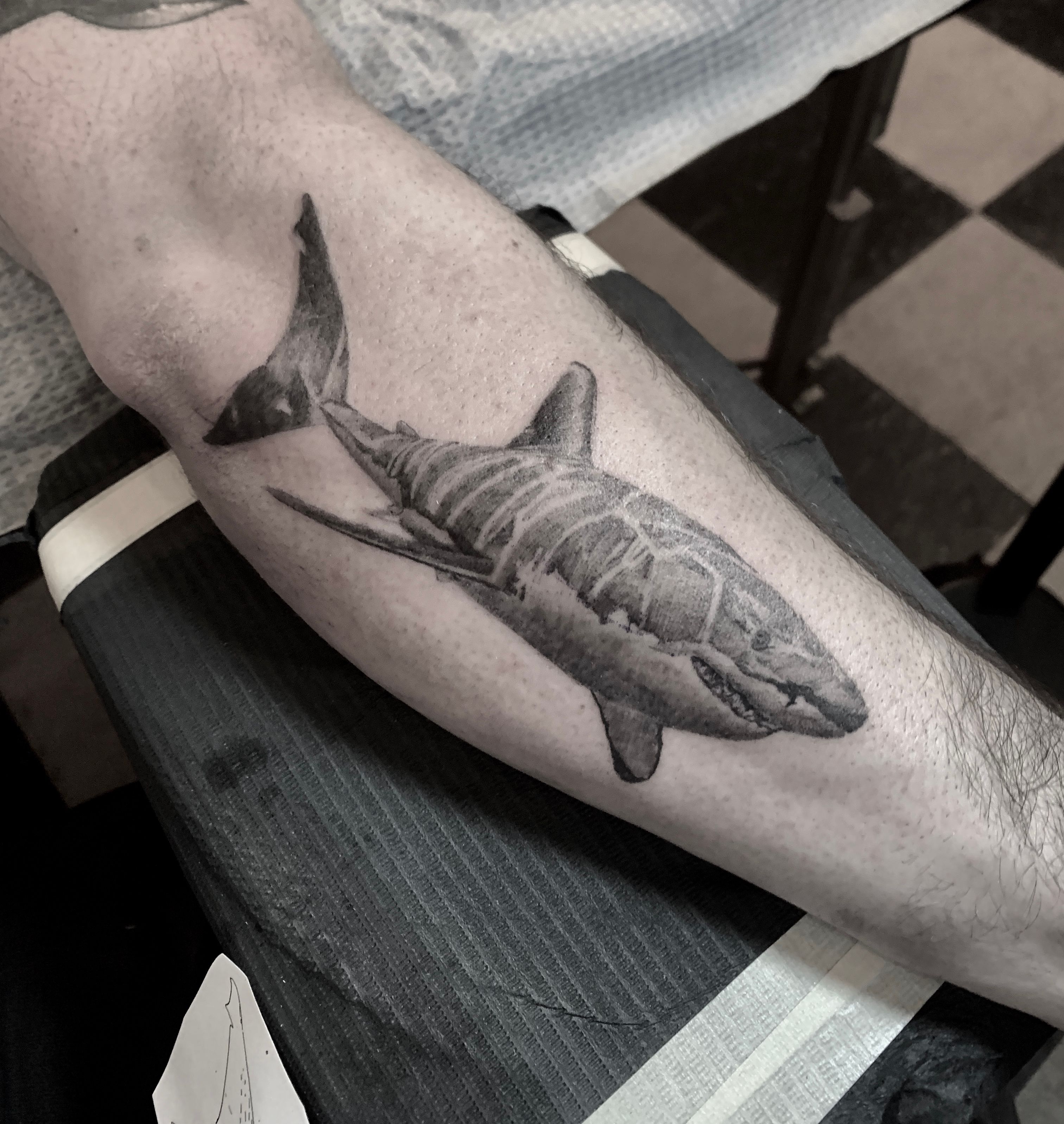 great white shark tattoo