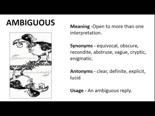 ambiguous antonym