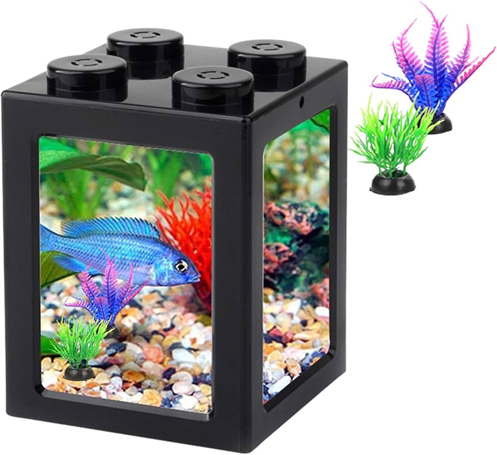 mini fish aquarium