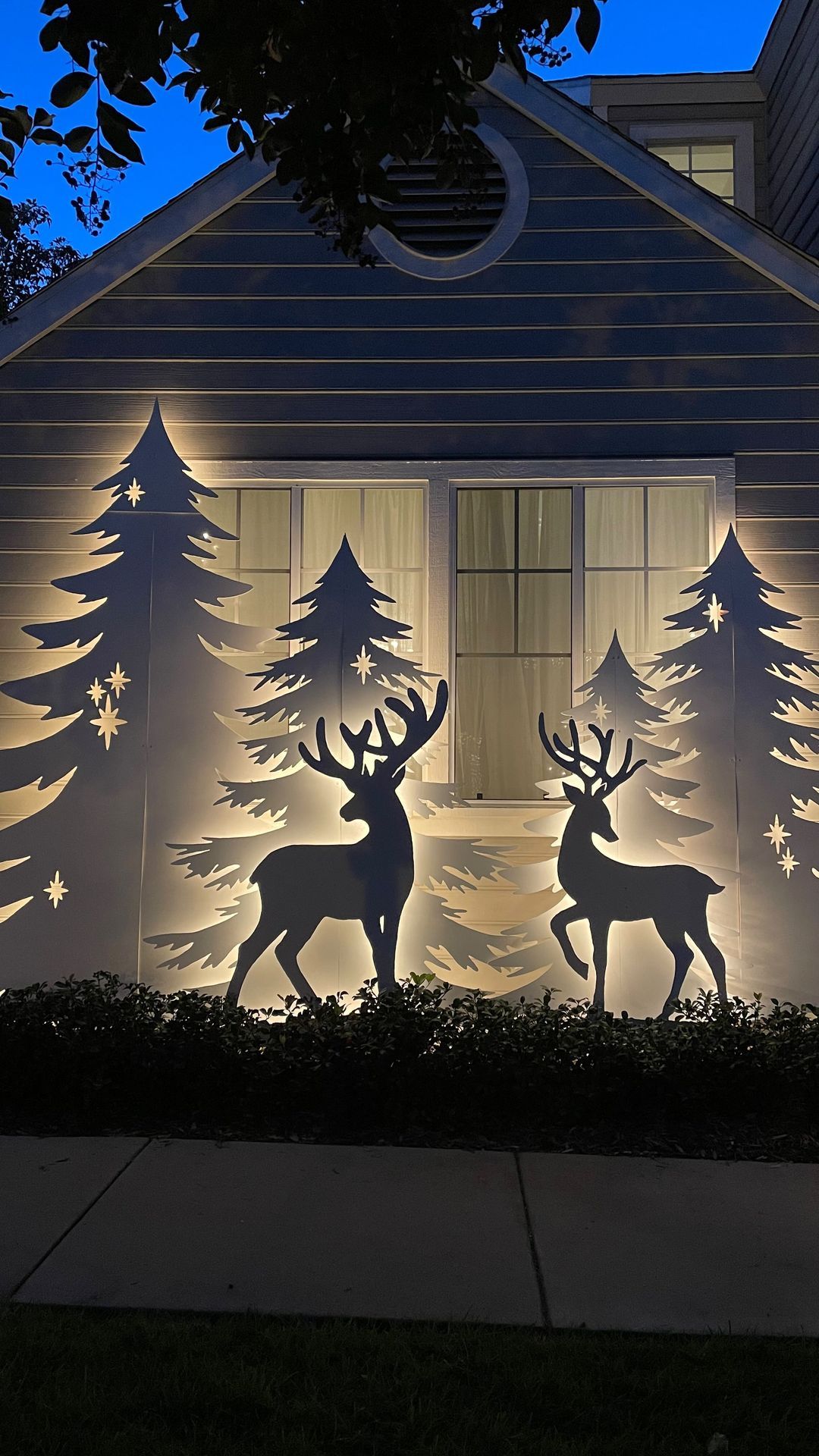 outdoor christmas silhouette lights