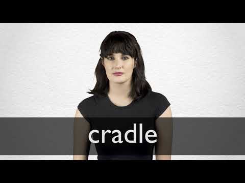 cradle synonym