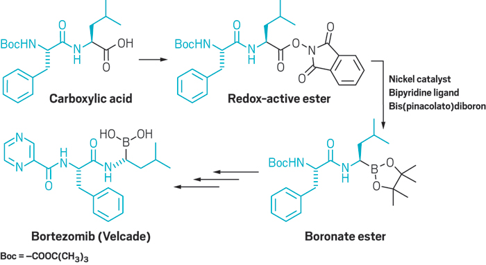 boronic ester