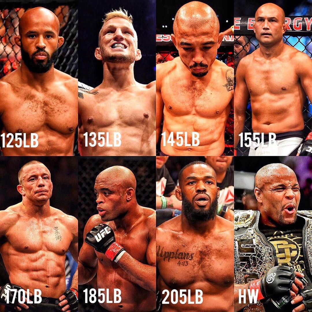 ufc weight classes kg