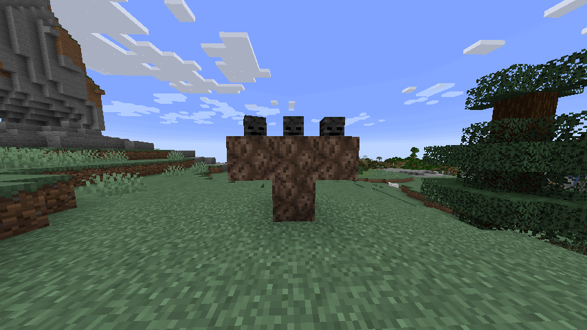 minecraft wither nerede bulunur