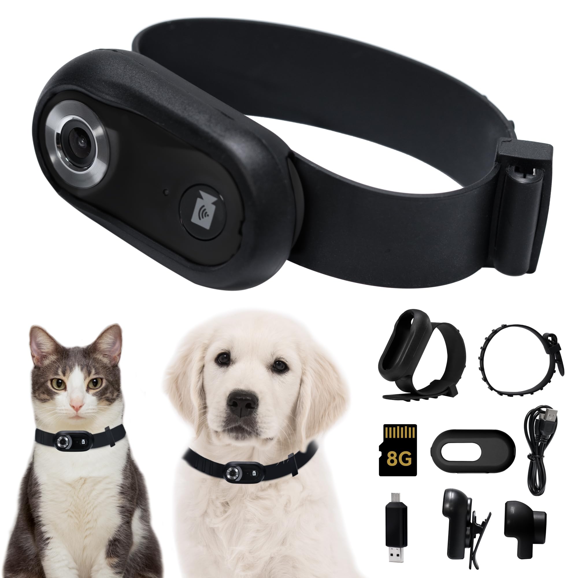 pet collar camera