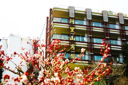 alishan township hotels