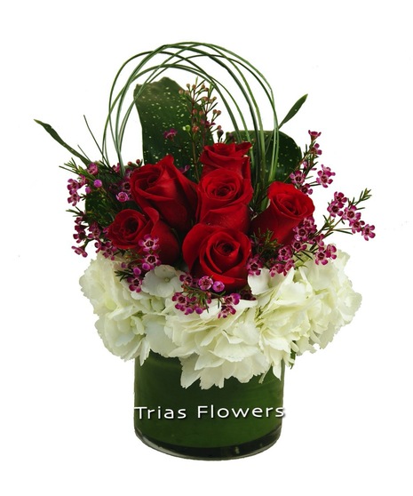 www.trias flowers.com