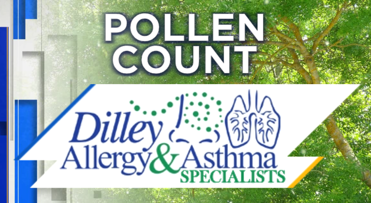 the pollen count today