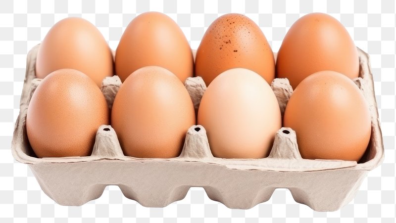 egg png