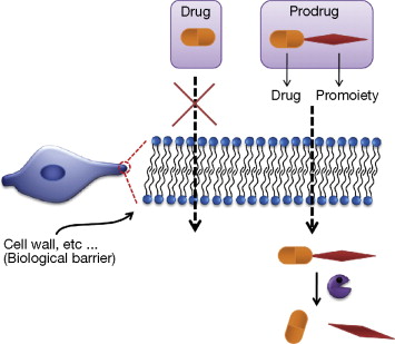 prodrugs