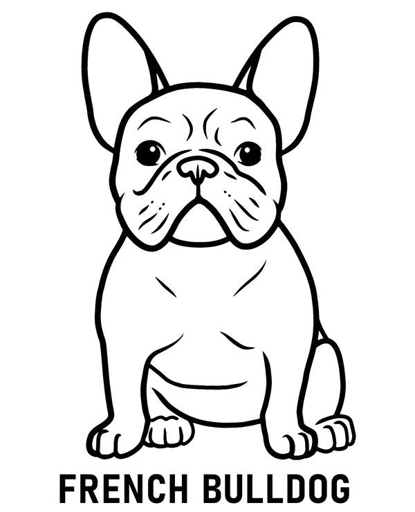 french bulldog coloring sheets