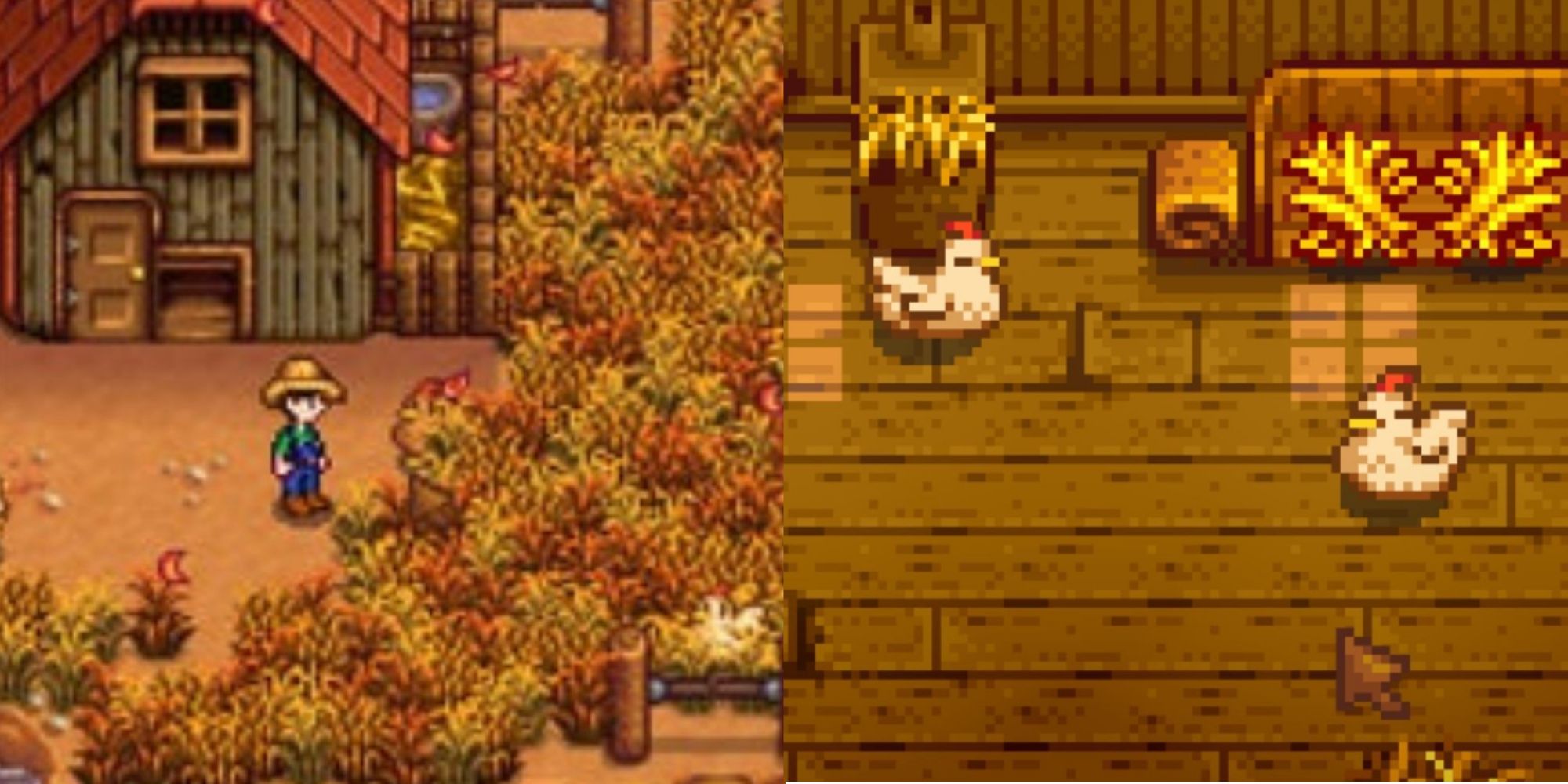 big coop stardew