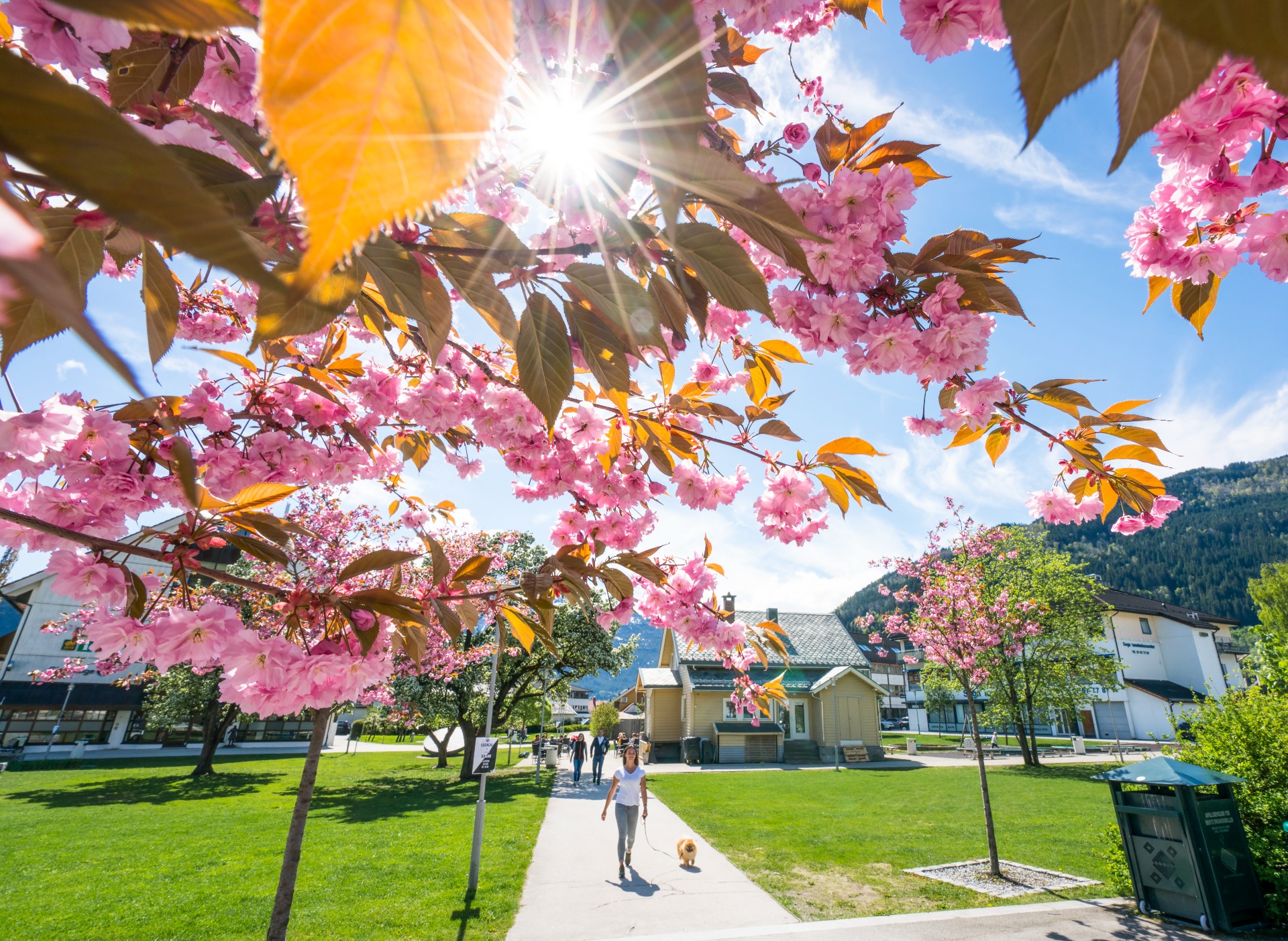 norwegian weather vancouver