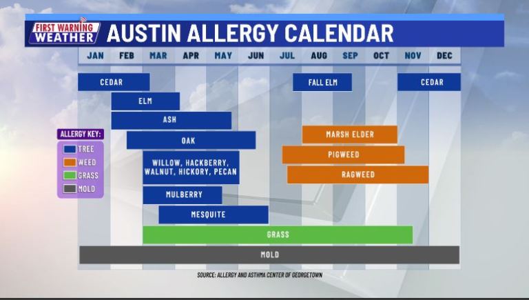 whats the pollen count for today