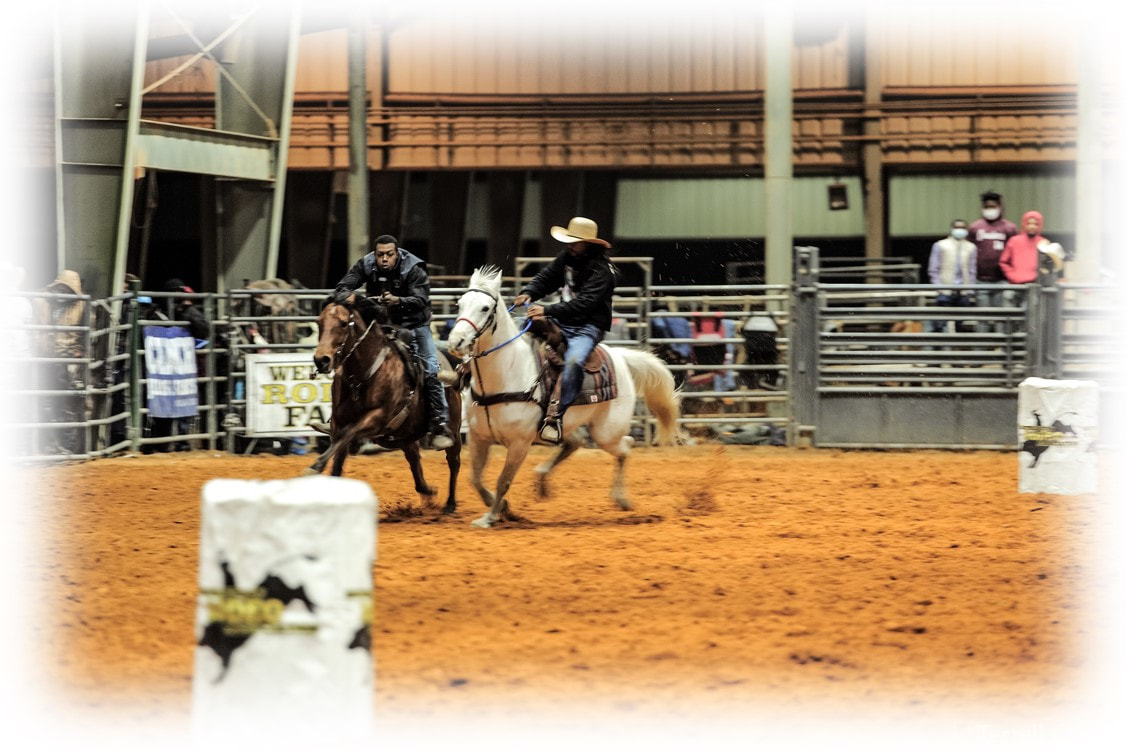 rodeo in springfield il