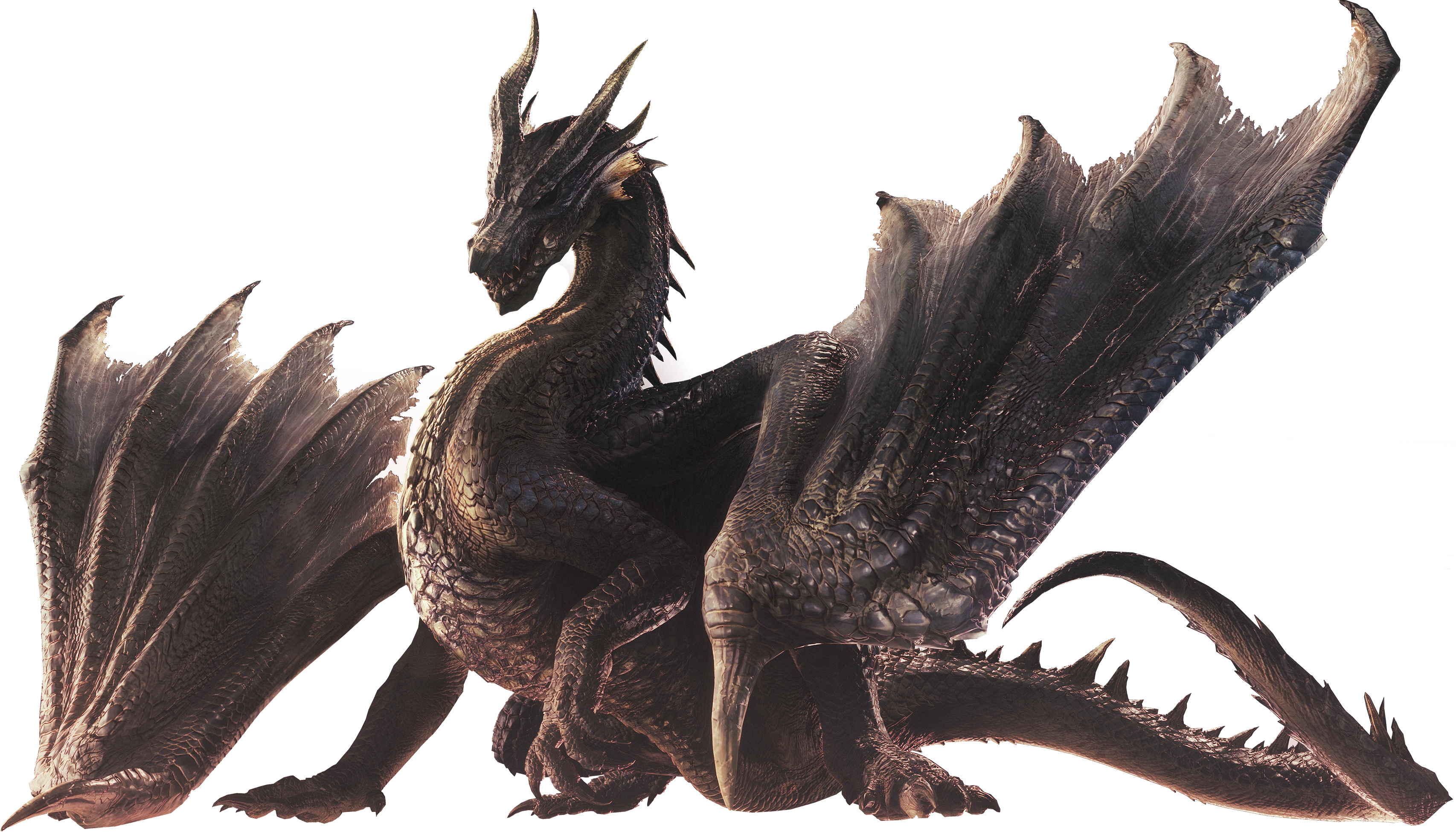 monster hunter fatalis