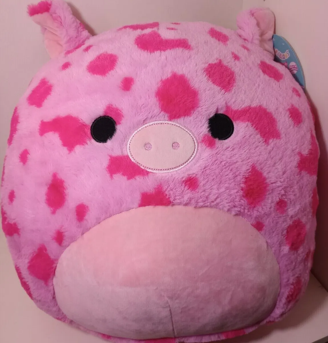 gwendle squishmallow