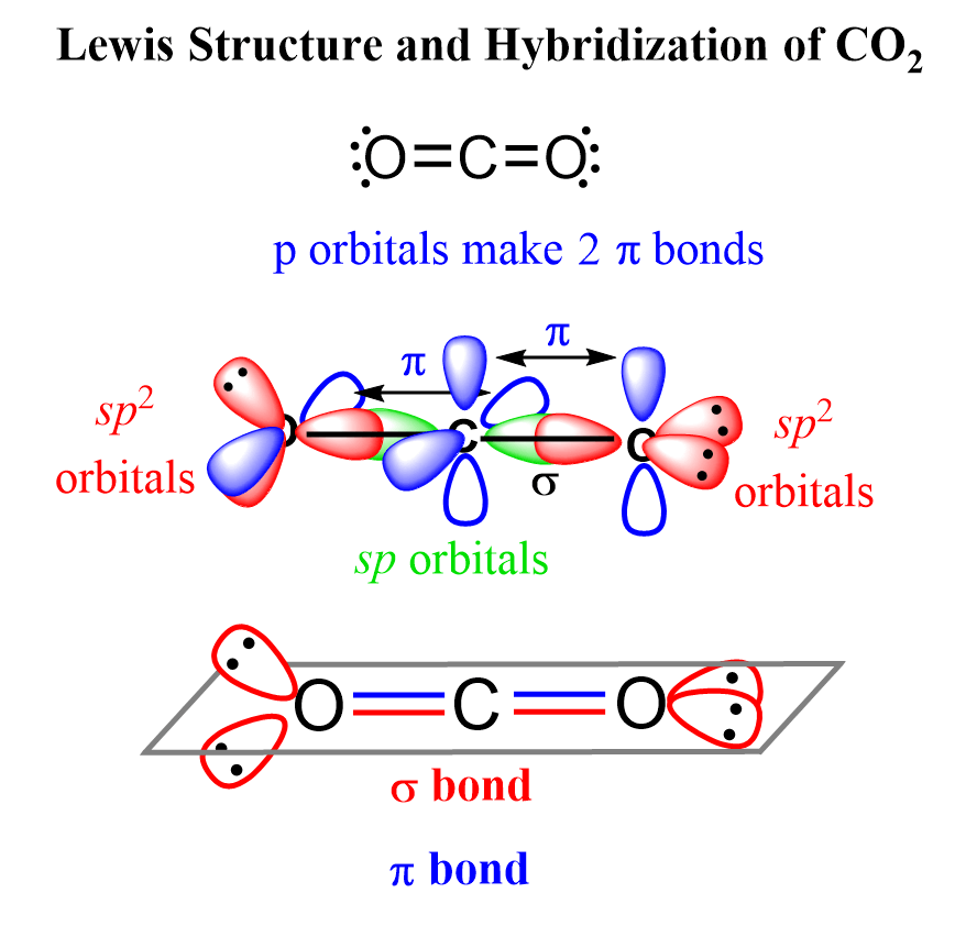 hybridization of carbon in co2