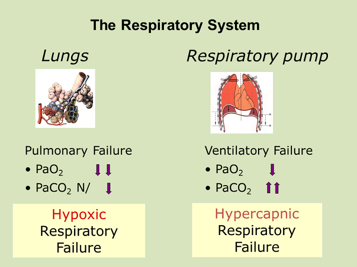 hypercapnic