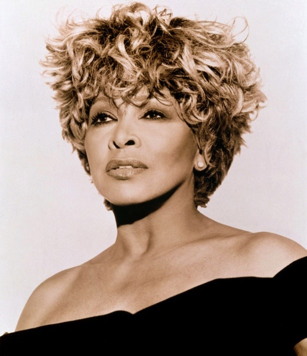 tina turner wiki