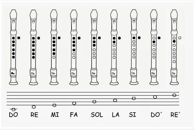 las notas en la flauta dulce