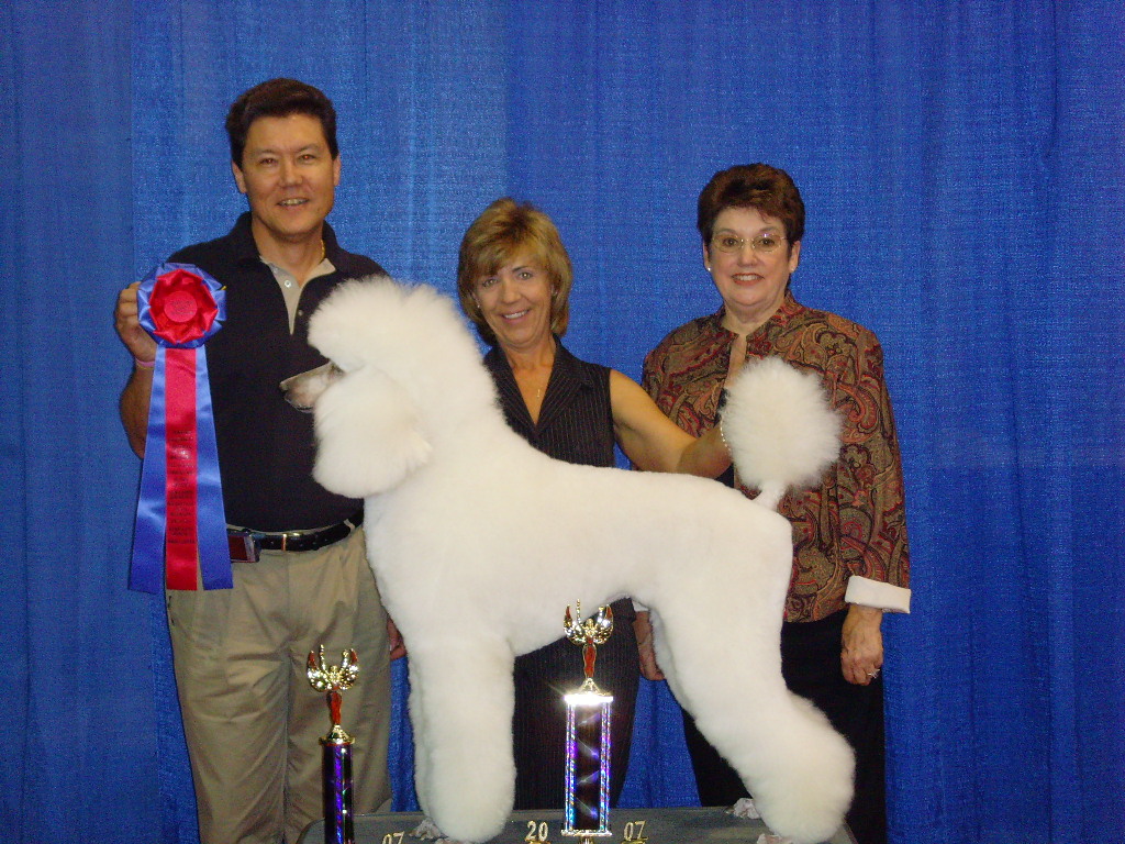 blue ribbon pet styling