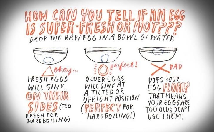 should you eat expired eggs