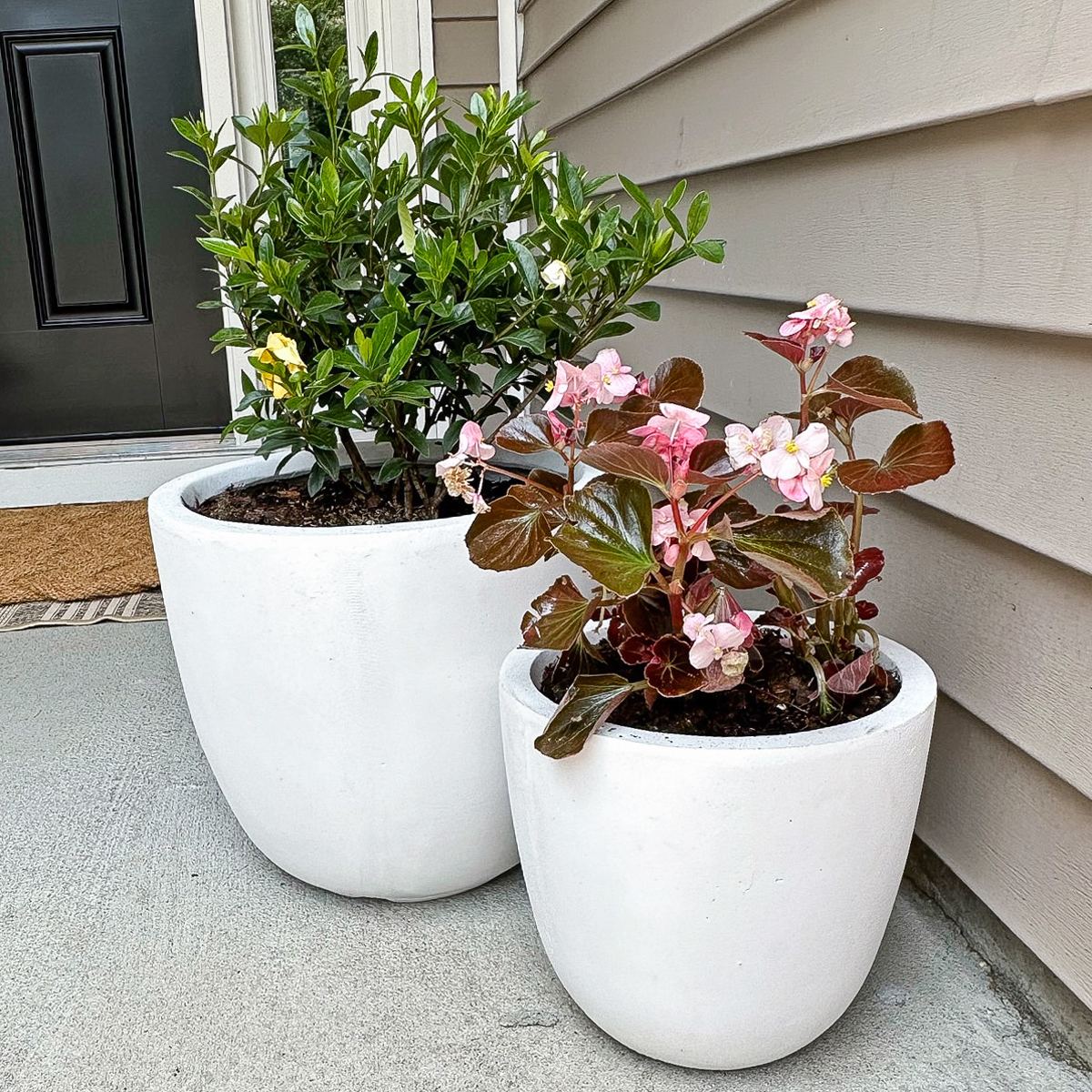 amazon planters outdoor