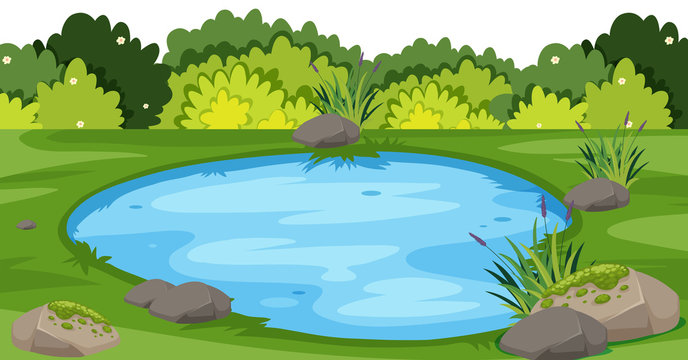 cartoon pond