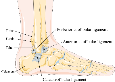 right ankle sprain icd 10