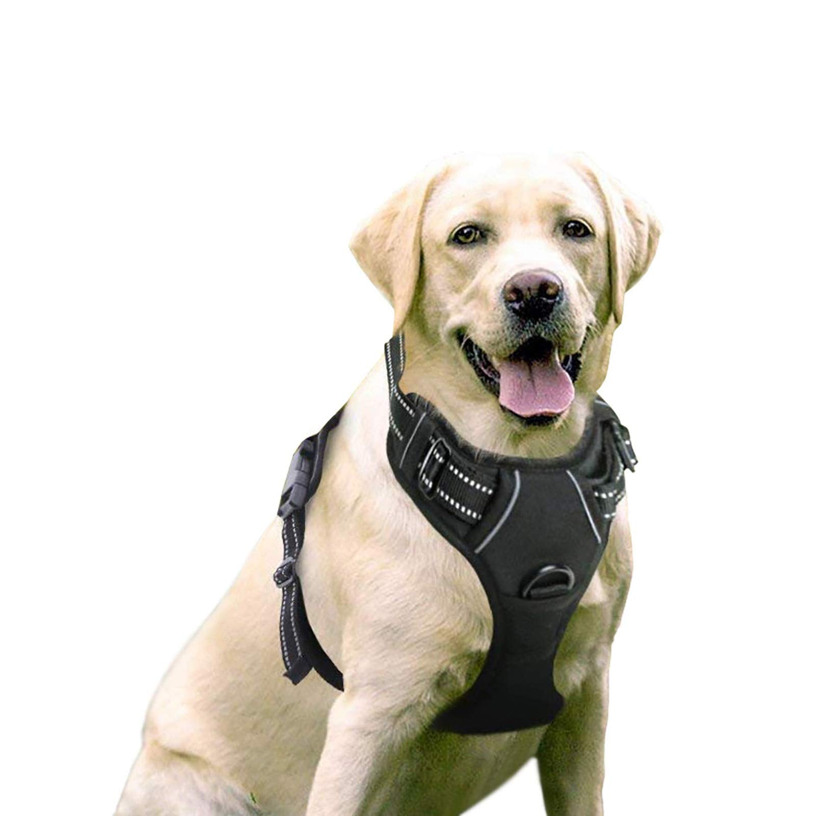 lab dog body belt