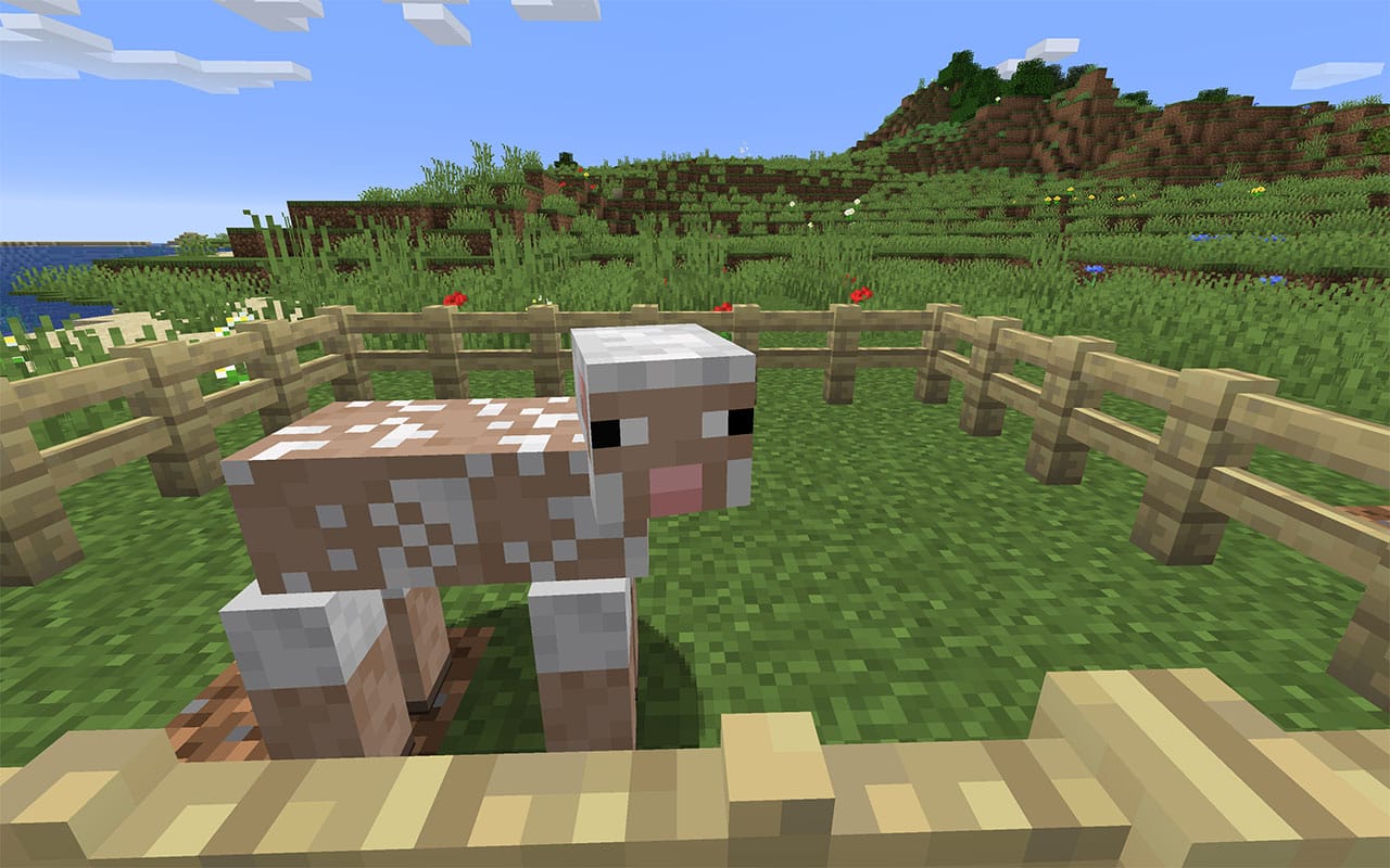 how to tame sheep in minecraft