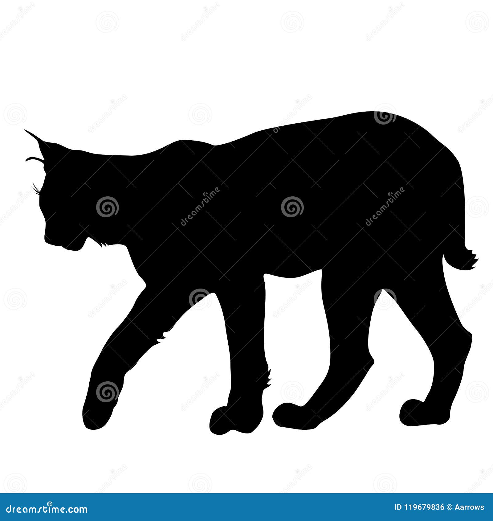 silhouette bobcat