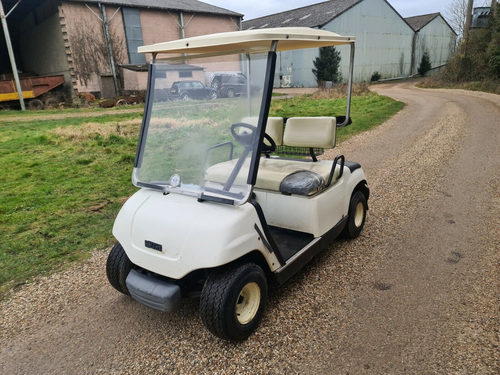 petrol golf carts for sale