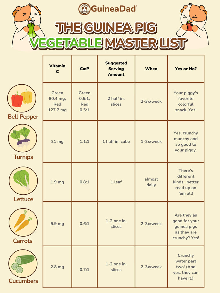 chart what do guinea pigs eat