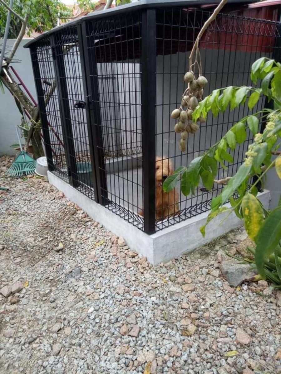 dog cage design