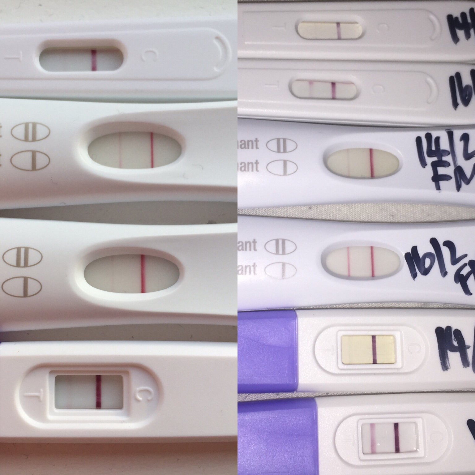 hcg line not getting darker