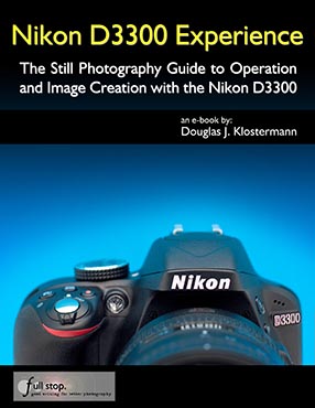 nikon d3300 manual guide