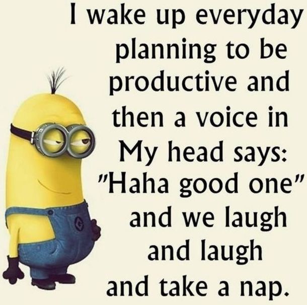 minion jokes