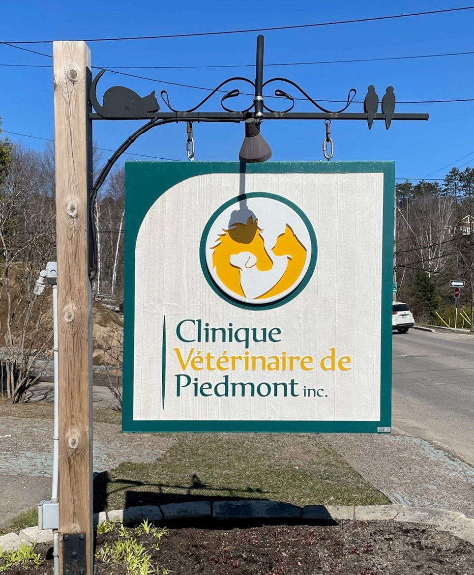 clinique veterinaire piedmont