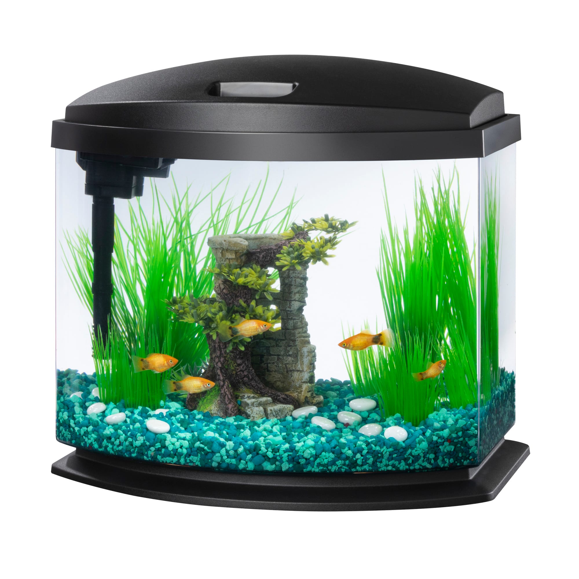 5 gallon fish tank