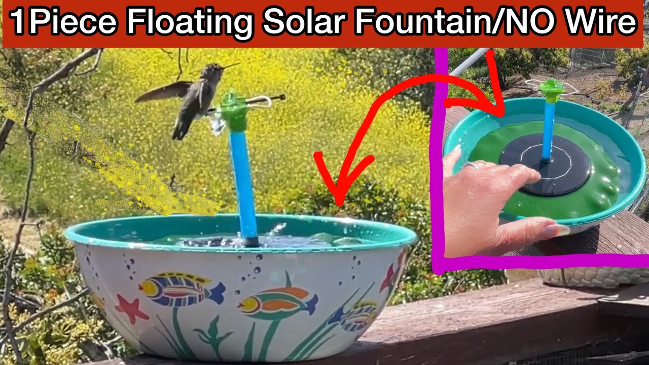 hummingbird bird bath fountains