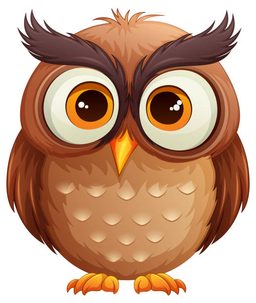 owls clipart